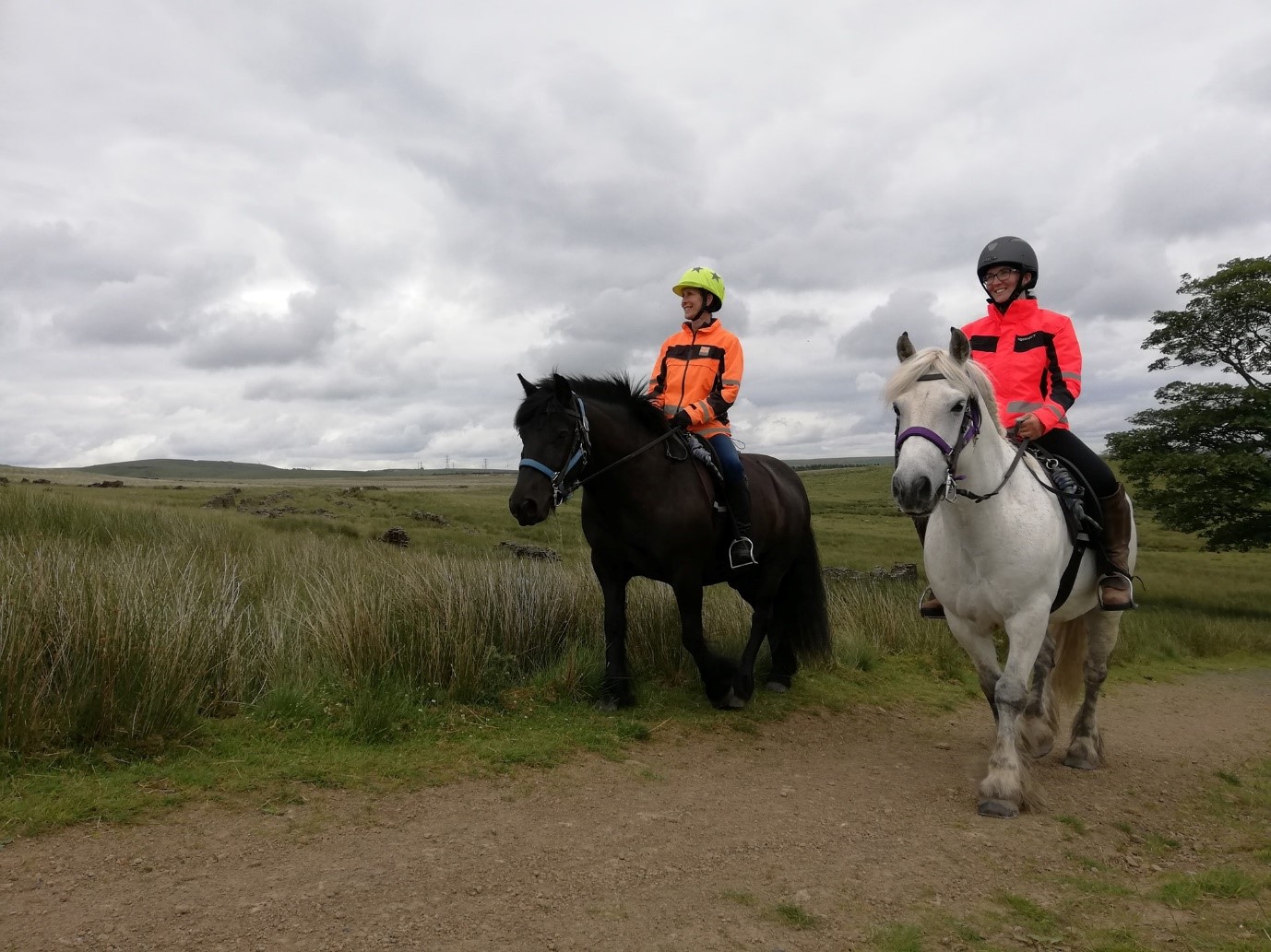 Enjoy Horse Riding In Rossendale Visit Rossendale